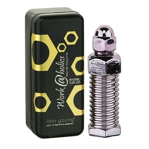 Linn Young Work @ Holics Steel For Men EDT 100ml